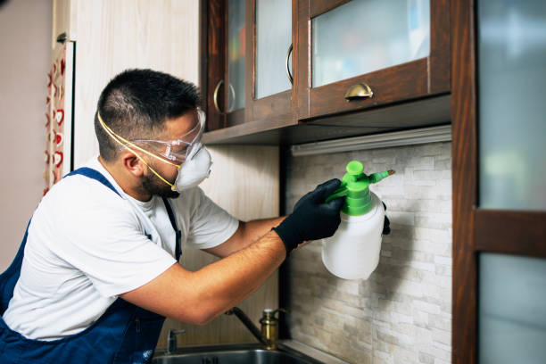 Bird Control in Santa Rosa, TX
