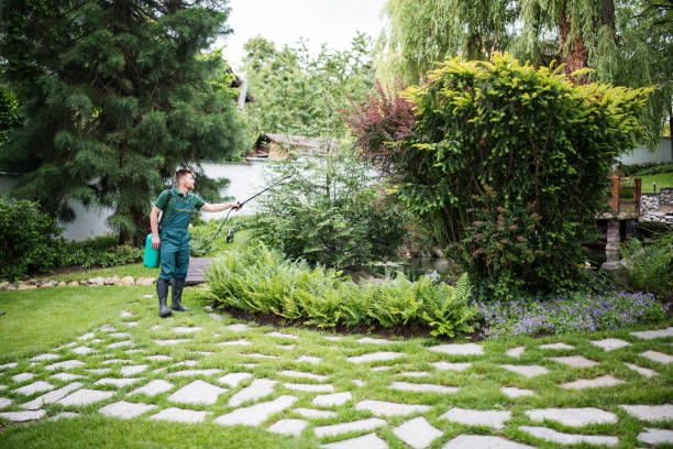 Best Pest Prevention Services  in Santa Rosa, TX