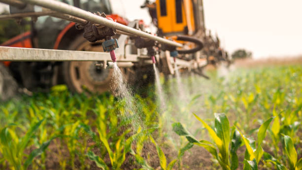 Pest Control Cost in Santa Rosa, TX